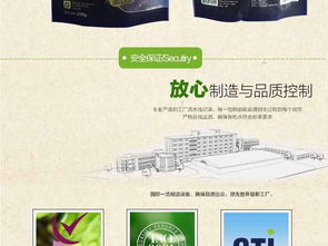 打造吸睛寵物食品詳情頁 高清PSD模板與廣告設(shè)計素材全攻略